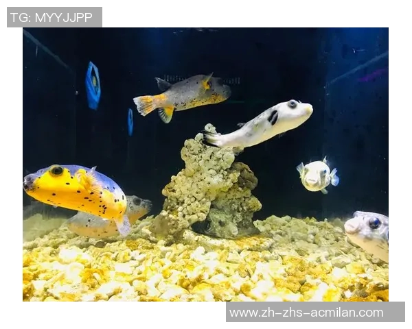 一场4的奇妙旅程探索未知世界的无限可能与精彩瞬间